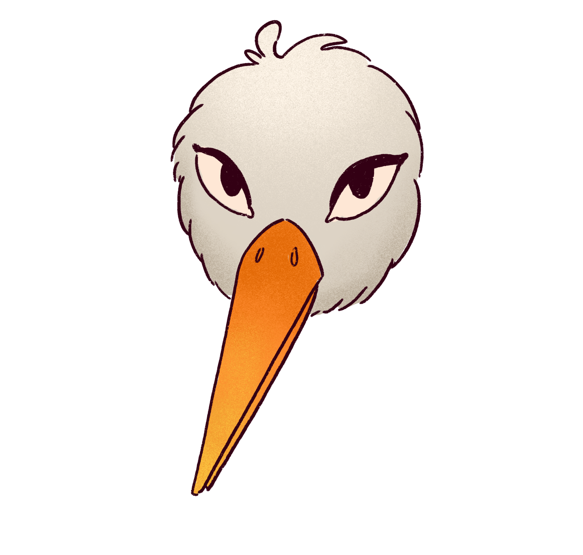 Ciconia